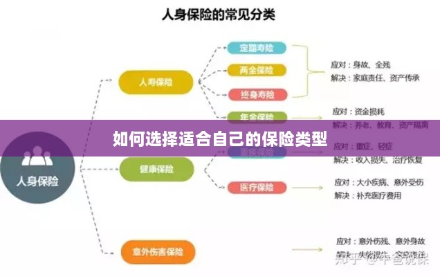 如何选择适合自己的保险类型，投保指南与策略建议-图1