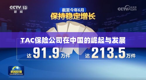 TAC保险公司在中国的崛起与蓬勃发展之路-图1 TAC保险公司在中国的崛起与蓬勃发展之路-图1