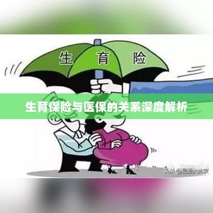 生育保险与医保关系的深度探讨-图1 生育保险与医保关系的深度探讨-图1