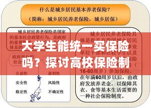 高校保险制度探讨，大学生统一买保险的可行性与必要性分析-图1