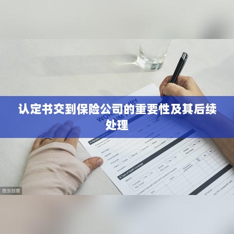 认定书交到保险公司的重要性及后续处理流程详解-图1