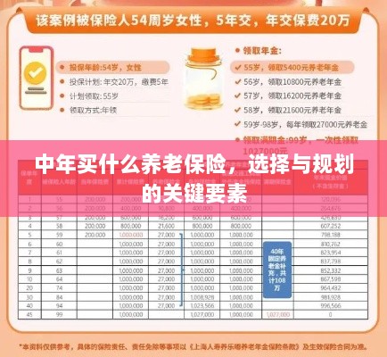 中年养老保险选择与规划的关键要素解析-图1 中年养老保险选择与规划的关键要素解析-图1