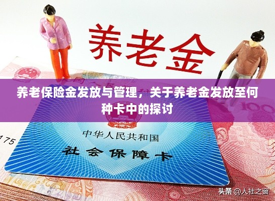 养老保险金发放与管理,关于养老金发放卡种选择的探讨-图1 养老保险金发放与管理,关于养老金发放卡种选择的探讨-图1