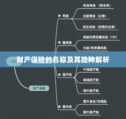 财产保险名称及险种深度解析-图1 财产保险名称及险种深度解析-图1
