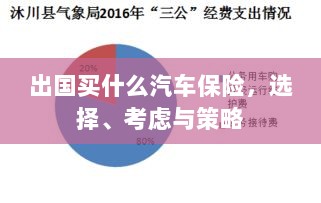 出国购车保险指南,选择、考虑与策略全解析-图1 出国购车保险指南,选择、考虑与策略全解析-图1