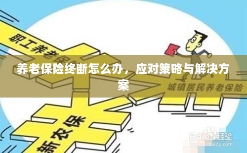 养老保险中断应对指南，解决方案与策略-图1