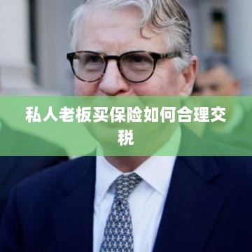 私人老板如何合理购买保险并交税指南-图1 私人老板如何合理购买保险并交税指南-图1
