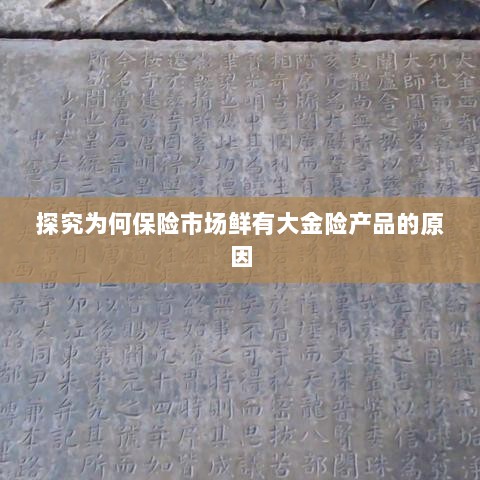 大金险产品稀缺,探究保险市场的现状与原因-图1 大金险产品稀缺,探究保险市场的现状与原因-图1