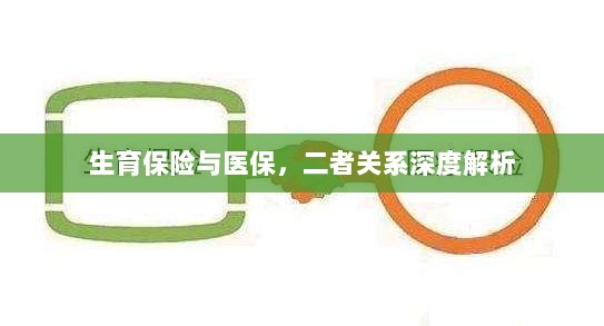生育保险与医保的关系深度探讨与解析-图1 生育保险与医保的关系深度探讨与解析-图1