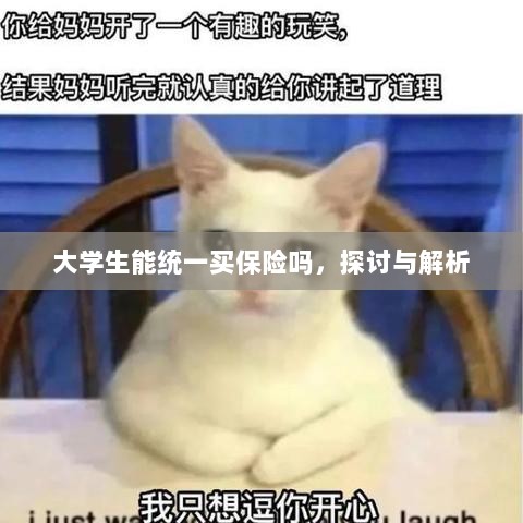 大学生统一保险购买,探讨与解析-图1 大学生统一保险购买,探讨与解析-图1