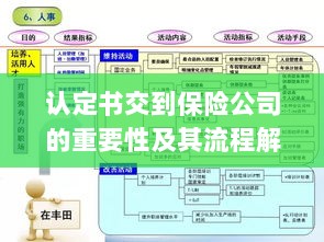 认定书交到保险公司的流程解析与重要性探讨-图1 认定书交到保险公司的流程解析与重要性探讨-图1