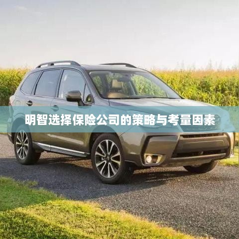明智选择保险公司的策略及考量要素解析-图1 明智选择保险公司的策略及考量要素解析-图1