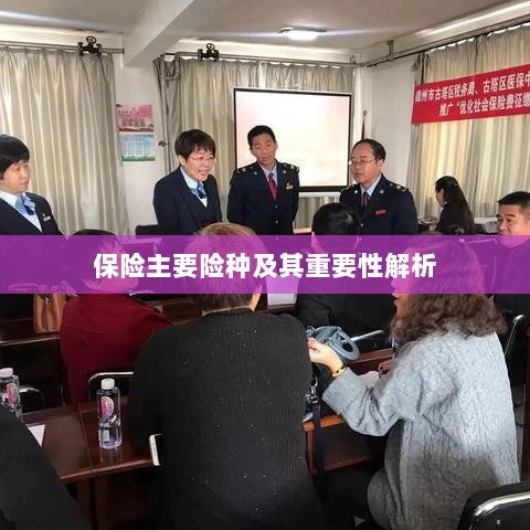 保险主要险种及其重要性深度解析-图1