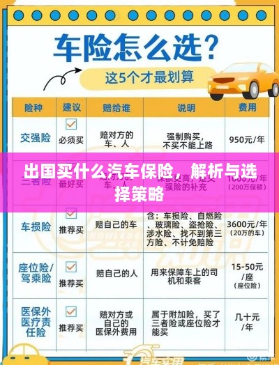 出国购车保险指南,解析与选择策略-图1 出国购车保险指南,解析与选择策略-图1