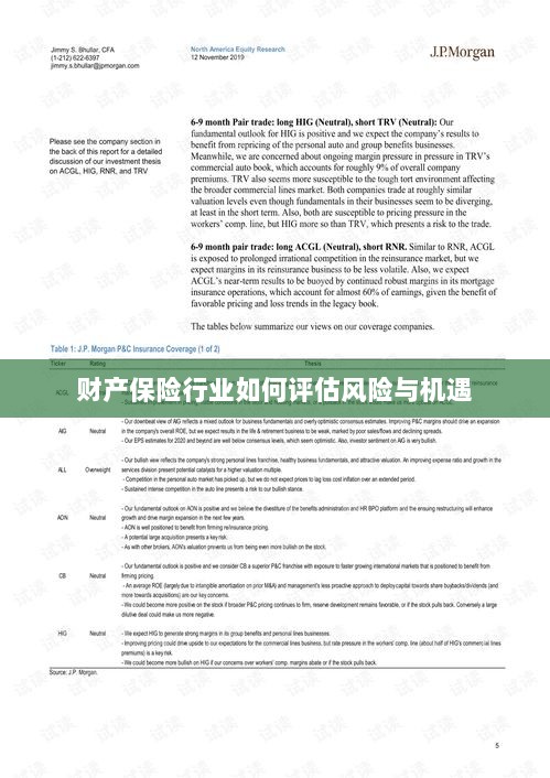 财产保险行业风险与机遇的评估策略-图1 财产保险行业风险与机遇的评估策略-图1