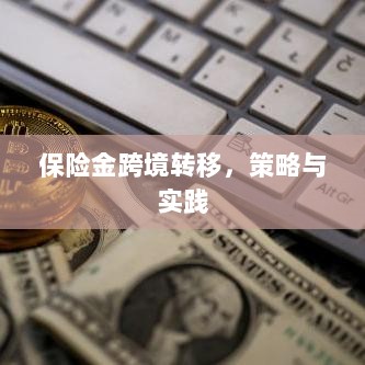 保险金跨境转移的策略与实践探讨-图1