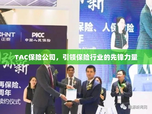 TAC保险公司，引领保险行业的先锋典范-图1