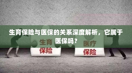 生育保险与医保关系深度解析，是否属于医保范畴？-图1