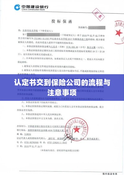 认定书交到保险公司的流程详解及注意事项提醒-图1 认定书交到保险公司的流程详解及注意事项提醒-图1