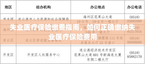 失业医疗保险缴费详解，如何正确缴纳费用指南-图1