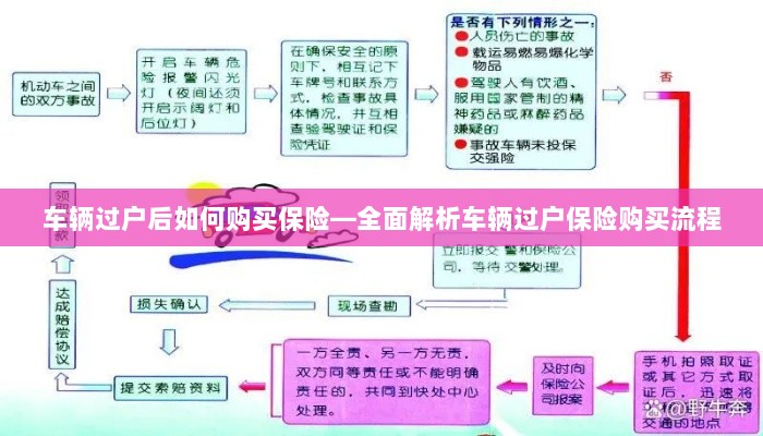 车辆过户后保险购买指南，全面解析车辆过户保险购买流程-图1
