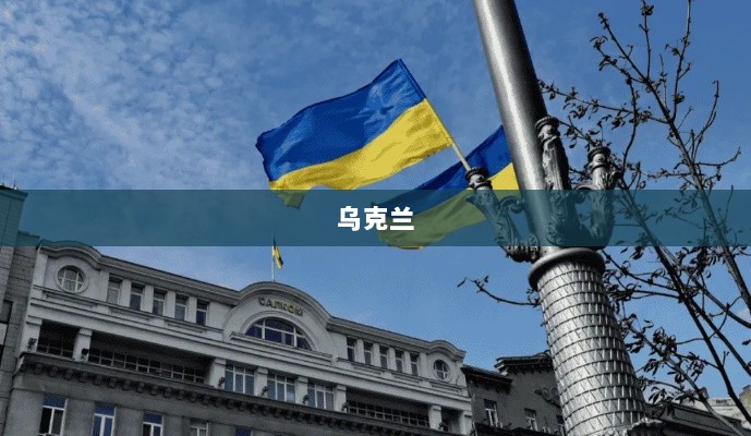 我没有构思好,请修改或更换输入后再次尝试。-图1 我没有构思好,请修改或更换输入后再次尝试。-图1