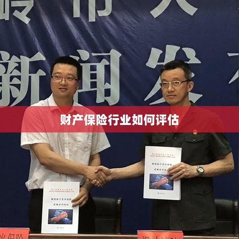 财产保险行业评估方法与策略解析-图1 财产保险行业评估方法与策略解析-图1