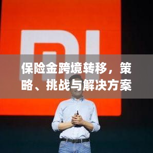 保险金跨境转移，策略、挑战及解决方案探讨-图1
