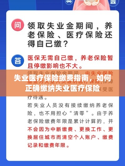 失业医疗保险缴费详解，正确缴纳失业医疗保险的步骤与指南-图1