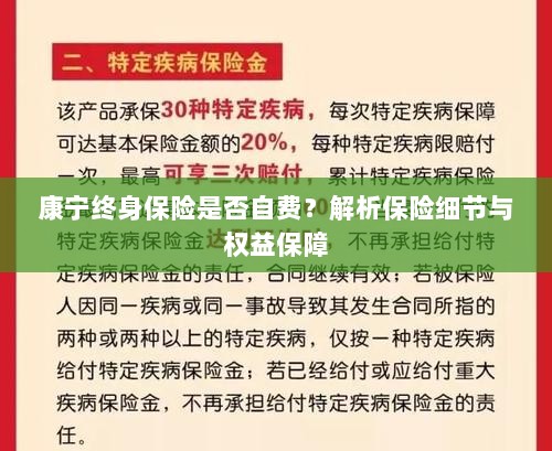 康宁终身保险的自费问题详解,保险细节与权益保障解析-图1 康宁终身保险的自费问题详解,保险细节与权益保障解析-图1