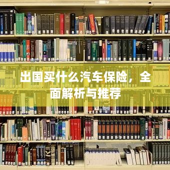 全面解析与推荐，出国应该购买哪些汽车保险？-图1