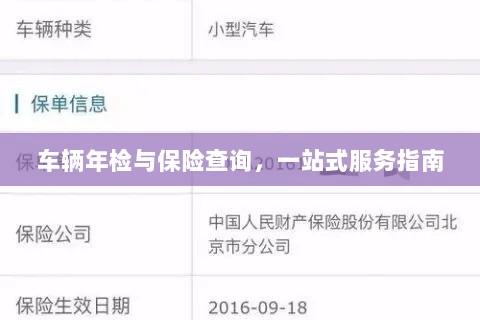 车辆年检与保险查询，一站式服务详解-图1