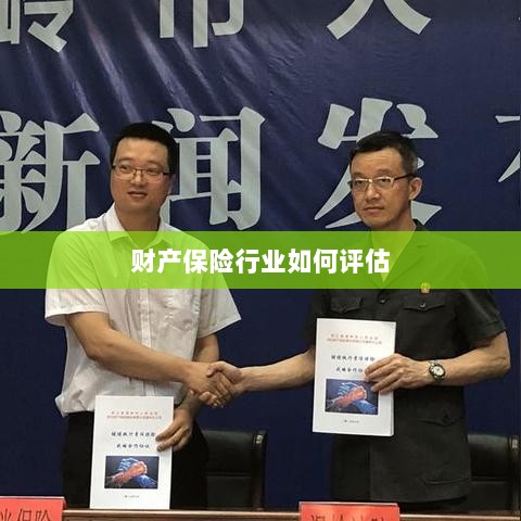 财产保险行业评估方法与策略解析-图1 财产保险行业评估方法与策略解析-图1