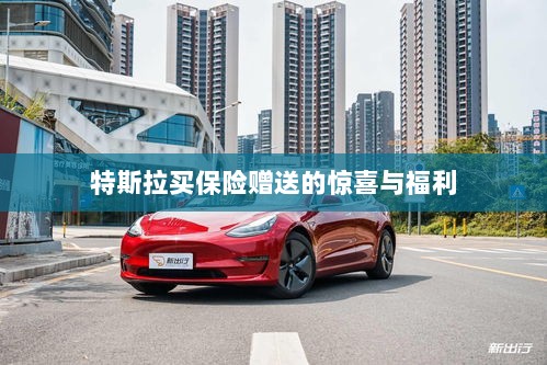 特斯拉保险购买赠品与惊喜福利概述-图1
