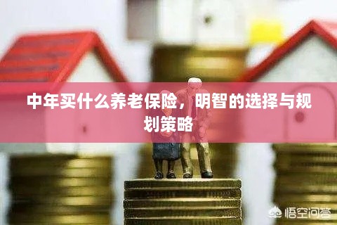 中年明智之选,养老保险的规划与策略-图1 中年明智之选,养老保险的规划与策略-图1