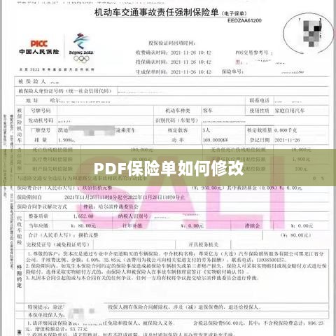 PDF保险单修改指南-图1 PDF保险单修改指南-图1