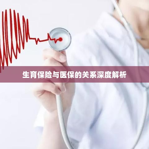 生育保险与医保关系的深度探讨-图1 生育保险与医保关系的深度探讨-图1