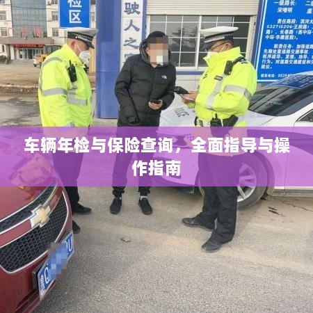 车辆年检与保险查询，全面指导与实操手册-图1