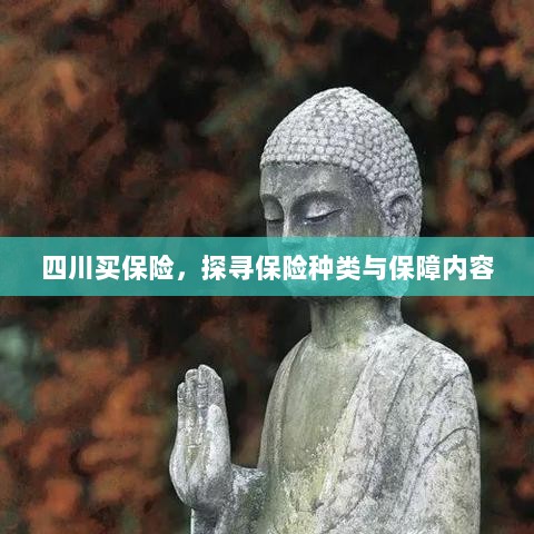 四川保险探秘，种类与保障内容全解析-图1