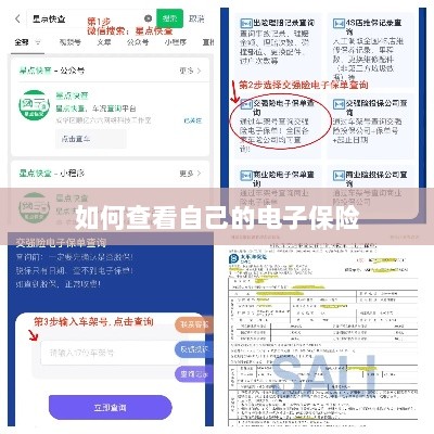 如何查看个人电子保险保单详情-图1
