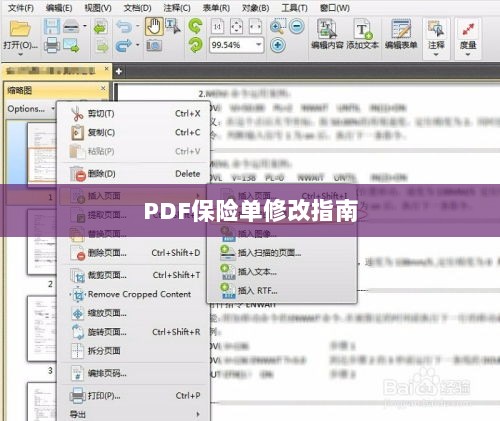 PDF保险单修改指南详解-图1