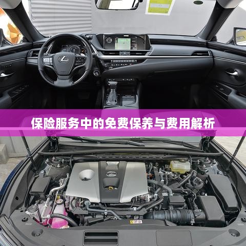 保险服务中的免费保养与费用详解解析-图1