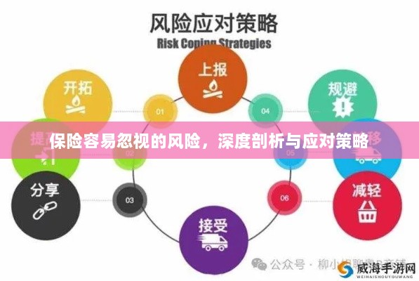 深度解析易被忽视保险风险及应对策略-图1