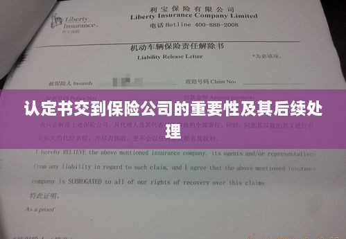 认定书交到保险公司的重要性及后续处理流程详解-图1 认定书交到保险公司的重要性及后续处理流程详解-图1