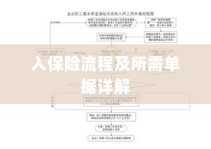 保险投保流程与所需单据全面解析-图1