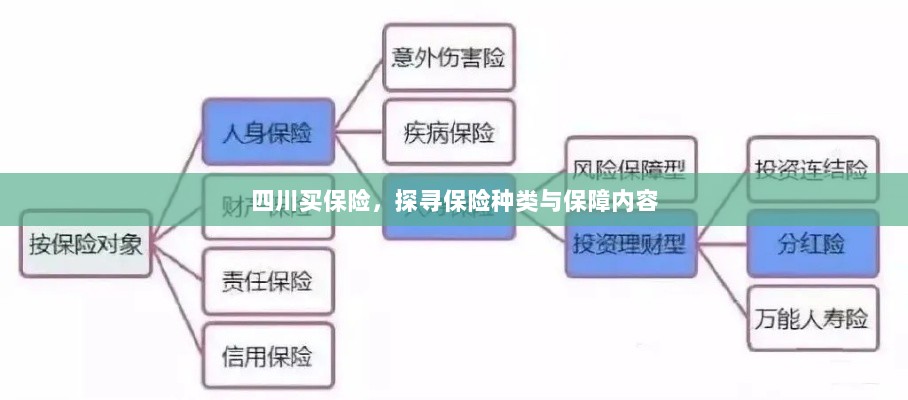 四川保险探秘，种类与保障内容全解析-图1