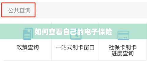 如何查看个人电子保险保单详情-图1