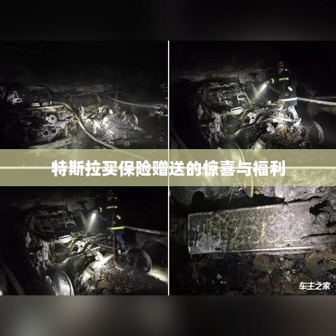 特斯拉保险购买赠品与惊喜福利概述-图1