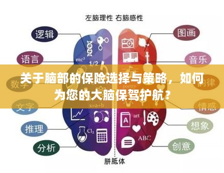 如何选择合适的脑部保险,为您的大脑保驾护航?-图1 如何选择合适的脑部保险,为您的大脑保驾护航?-图1