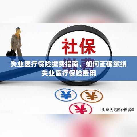 失业医疗保险缴费详解，如何正确缴纳费用指南-图1